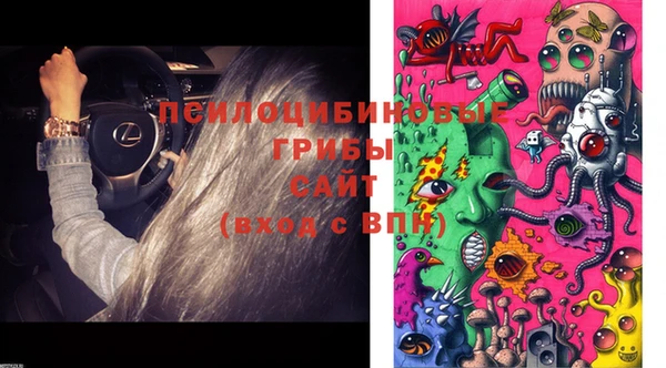 гашиш Ельня
