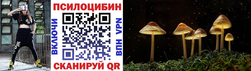 Псилоцибиновые грибы прущие грибы Ветлуга