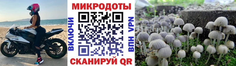 Псилоцибиновые грибы Cubensis  Купить где  Ветлуга 